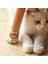 Silikon Sandalye Bacak Kapakları Kaymaz Kedi Pençe Tasarım Mobilya Ayak Kapakları Masa ve Sandalye Bacakları Için Zemin Koruyucular (Yurt Dışından) 4