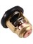 Termostat 66M-12411-00 Yamaha Için 4 Strok F 40 50 60 80 100 Hp Outboard Motor 66M-12411-01 66M-12411 (Yurt Dışından) 3