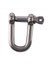 6pcs M6X38MM Düz D-Shackle Kısa Paslanmaz Çelik Aısı 316 (Yurt Dışından) 2