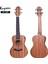 U1-24N Concert Ukulele 1
