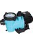 Havuz Pompası Streamer 2010 0,75 Hp 380 Volt 1