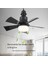 Güçlü Rüzgar LED Sessiz Renk Paleti Lambası Üç Uzaktan Kumanda Işık Fanı Popüler E27 Tavan Fanı Işık Hız Ayarı Siyah (Yurt Dışından) 2