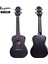 U1-24BK Siyah Concert Ukulele 1