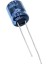 1000 MF 6.3 V Kondansatör 1