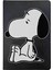 Snoopy Desenli Deri Pet Evcil Hayvan Kedi Köpek Pasaport Sağlık Karnesi Kabı Kılıfı 1