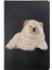 Chow Chow Desenli Deri Pet Evcil Hayvan Kedi Köpek Pasaport Sağlık Karnesi Kabı Kılıfı 1