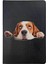 Yavru Beagle Desenli Deri Pet Evcil Hayvan Kedi Köpek Pasaport Sağlık Karnesi Kabı Kılıfı 1