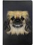 Pekingese Desenli Deri Pet Evcil Hayvan Kedi Köpek Pasaport Sağlık Karnesi Kabı Kılıfı 1