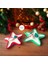 Dekoratif Yıldız Tabakta Yılbaşı Yeni Yıl Noel Temalı 2 Li %100 Doğal Vegan Soya Wax Mum 2