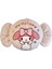 Sanrio Lisanslı My Melody Tatlı Serisi Şeker Figürlü 38 cm Yastık 2
