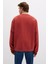 Erkek Bisiklet Yaka %100 Pamuk Sweatshirt M0S10482 Kiremit 4