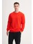 Kalın Diyagonal Dokulu %100 Pamuk 3 Iplik Regular Fit Sweatshirt 2