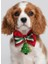 Yılbaşı Ağacı Küçük Irk Köpek Papyon Tasması | Kırmızı Fiyonk Boyun Aksesuarı | Noel Temalı Köpek Süsü 3