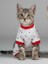 Berry Kedi Tulumu | Pamuklu Penye Kedi Kıyafeti | Küçük Irklar Için | Tüy Dökülmesini Azaltır 1