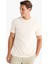 %100 Pamuk New Regular Fit Bisiklet Yaka Basic Düz Kısa Kollu Tişört V7699AZ24AU 8