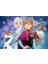 90747 Frozen 2'li 24 Parça Yapboz 4