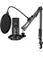 Akış Mikrofonu Pc Kollu, USB Mikrofon Ps4 Ps5 Mac, Pop Filtre, Shock Mount, Oyun Podcast Stüdyosu Için 1