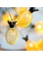 Dumles® Dekoratif Pilli Pineapple Ananas Pilli Şerit LED Işık (1 Metre) 1