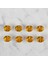 Crafts Hardal Sarısı 8 Li Düğme - 242 2