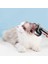Pet Köpek Saç Fırçası Vakum Eki Dyson V15 V11 V10 V8 V7 Pet Epilasyon Aracı Için Evcil Hayvan Bakım Kiti (Yurt Dışından) 5
