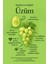 Yemeklik Üzüm Çekirdeği Yağı 1 Litre – Soğuk Sıkım, Saf & Doğal 6