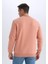 Regular Fit Bisiklet Yaka Kalın Basic Düz Sweatshirt 13