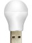 PM-20920 5V 1A USB LED Lamba Gün Işığı 1
