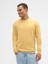 Erkek Sarı Bisiklet Yaka Kazak 1