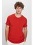 Erkek Slim Fit Dar Kesim Pamuklu Yumuşak Doku Likralı Esnek Kumaş Basic Kiremit Bisiklet Yaka Tişört 4