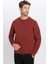 Unisex Relax Fit Rahat Kesim Pamuklu Yumuşak Dokulu Polarlı Kahverengi Bisiklet Yaka Sweatshirt 2