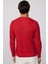 Erkek Bisiklet Yaka Desenli Yumuşak Dokulu Kırmızı Triko Kazak 5