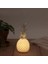 çınar ticaret ananas şeklinde desenli büyük boy pilli masa ve gece lambası 3