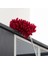 çınar ticaret teleskopik mikrofiber pratik uzayabilen toz alma fırçası aparatı 4