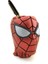 çınar ticaret polyester spiderman kalemlik 1