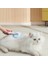 çınar ticaret kedi ve köpekler ıçin kendini temizleyen tüy fırçası 3