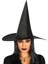 çınar ticaret yetişkin boy siyah cadı şapkası ve uzun siyah cadı peruğu 1