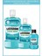 Cool Mint Tam Boy Set – 500 ml & 250 ml & Mini Cool Mint Hediye 1