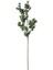 Branch Yeşil Dal Çiçek 74CM 3