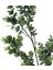 Branch Yeşil Dal Çiçek 74CM 4