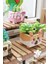 Panlos Mini Potted Plant Serisi Tilki Figürü 336 Parça Oyuncak Yapım Seti -FFP655016 3
