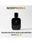 Noirphoria Edp 50 ml Afrodizyak Etkili Parfüm – Cazibenin Formülü 2