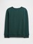 Erkek Çocuk Yeşil Bisiklet Yaka Grafik Sweatshirt 2
