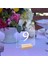 12PCS Dıy Boş Akrilik Tablo Işareti Stand Şeffaf Kemer Tablo Numaraları Tablo Kartı Düğün Dekorasyonu, A (Yurt Dışından) 4
