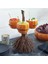Sevimli Cadılar Bayramı Reçine Pumpkin Kaseleri Servis Meyve Salatası Atıştırmalıkları Cadılar Bayramı Partisi (Yurt Dışından) 2