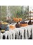 Sevimli Cadılar Bayramı Reçine Pumpkin Kaseleri Servis Meyve Salatası Atıştırmalıkları Cadılar Bayramı Partisi (Yurt Dışından) 3