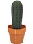 Kaktüs Kürdan Tutucu, Kürdan Kaktüs, 3D Baskılı Kaktüs Simülasyonu Saksı Kürdan Kutusu Koyu Yeşil (Yurt Dışından) 1