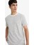 Regular Fit Bisiklet Yaka Çizgili Kısa Kollu Tişört E8198AX25AU 16