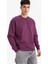 Relax Fit Bisiklet Yaka Kalın İçi Yumuşak Tüylü Basic Düz Sweatshirt T5139AZ25AU 10