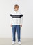 Yeni Sezon Dik Yaka Uzun Kollu Baskılı Erkek Sweatshirt 2