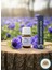 Organik Mavi Anemon Yağı 20 ml Şişede 1